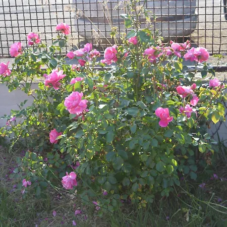 Chez Therese Et Marguerite Guest house *